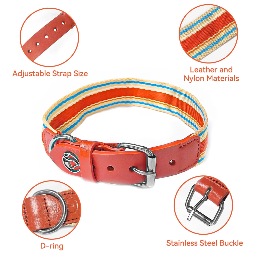Adjustable Dog Collar and Leash Set / all sizes