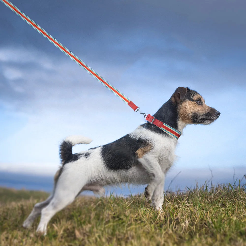 Adjustable Dog Collar and Leash Set / all sizes