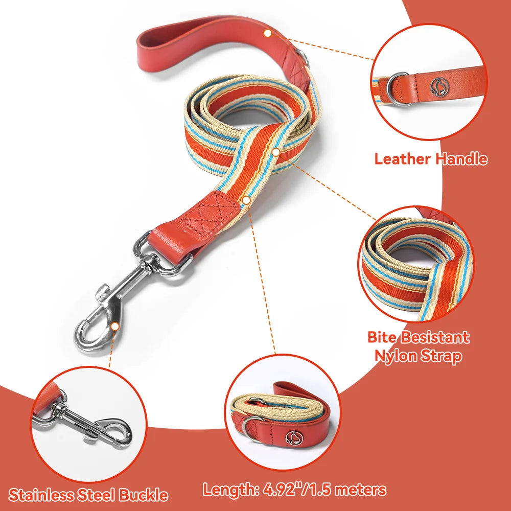 Adjustable Dog Collar and Leash Set / all sizes