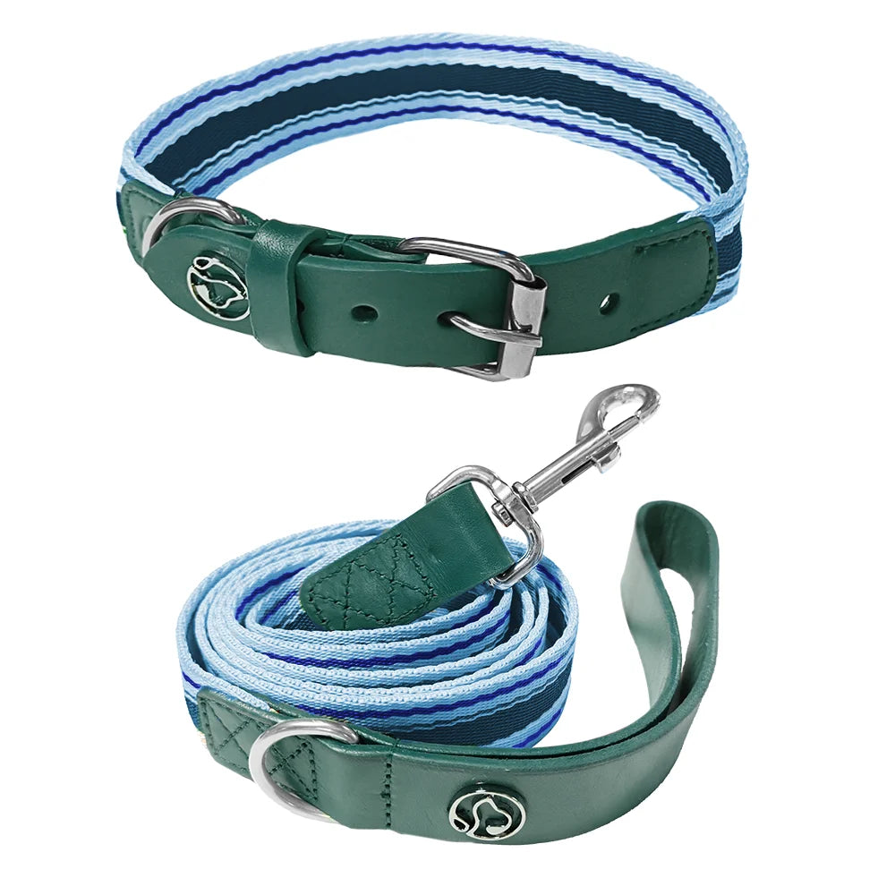 Adjustable Dog Collar and Leash Set / all sizes