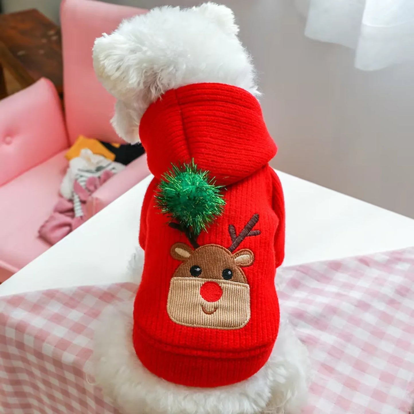 Warm Winter Small Dog Clothes