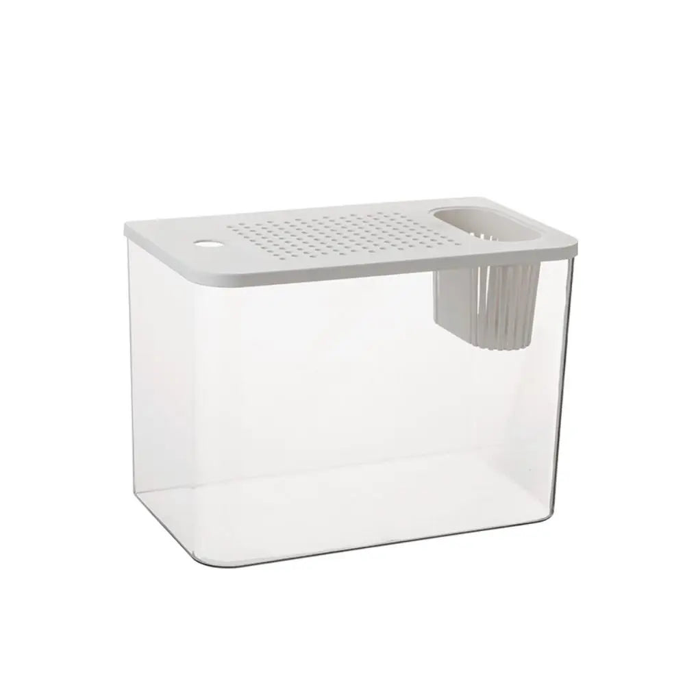 Transparent turtle/fish tank aquarium