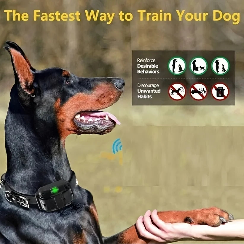 Rechargeable training collar with shock vibration