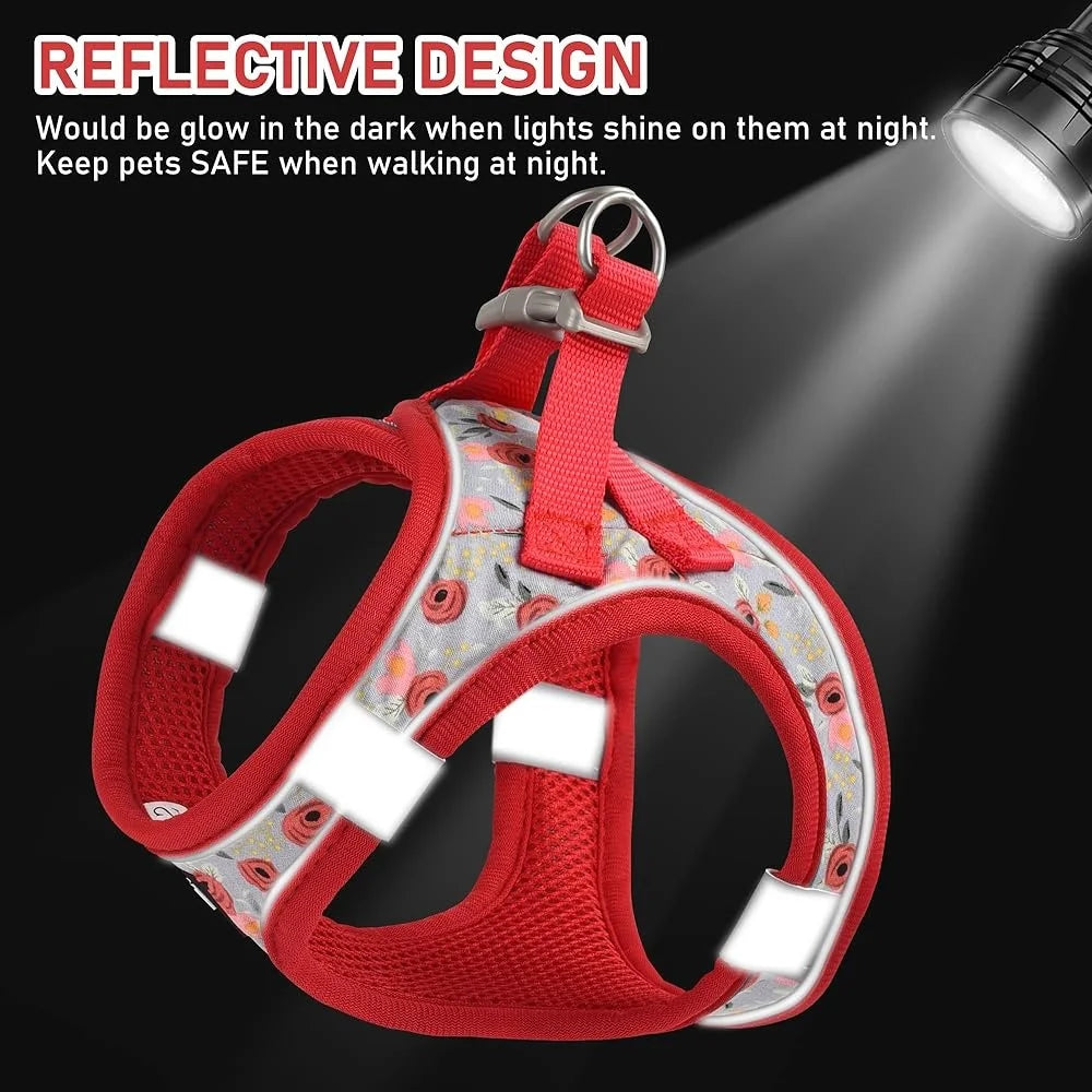 Adjustable Small Dog Harness Collar Leash Set
