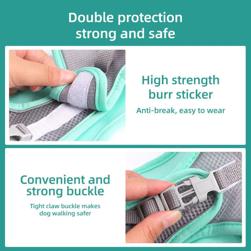 Adjustable Dog Harness for Small Dogs