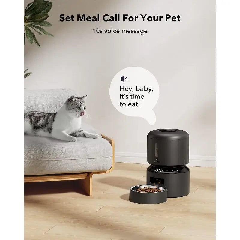 Automatic Cat Dry Food Dispenser