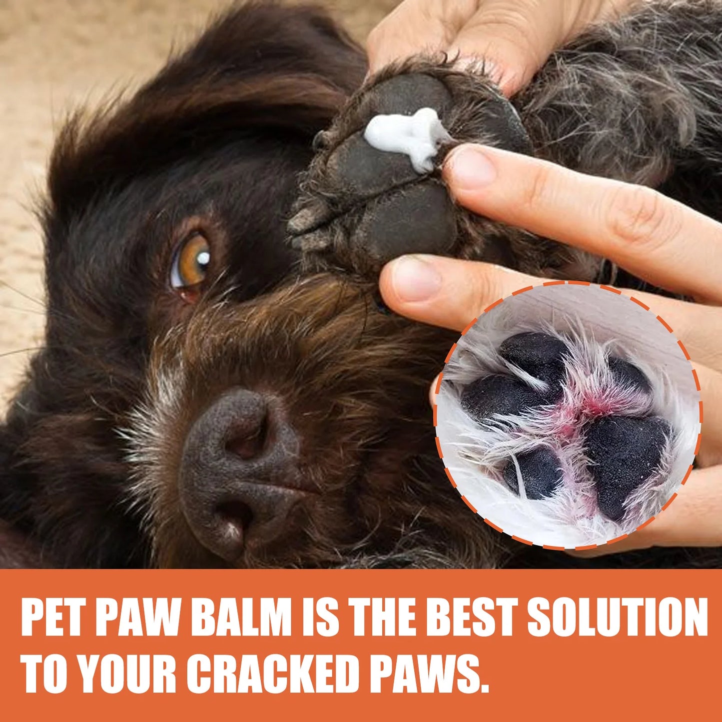 Cat and Dog Paw Balm, Moisturizer