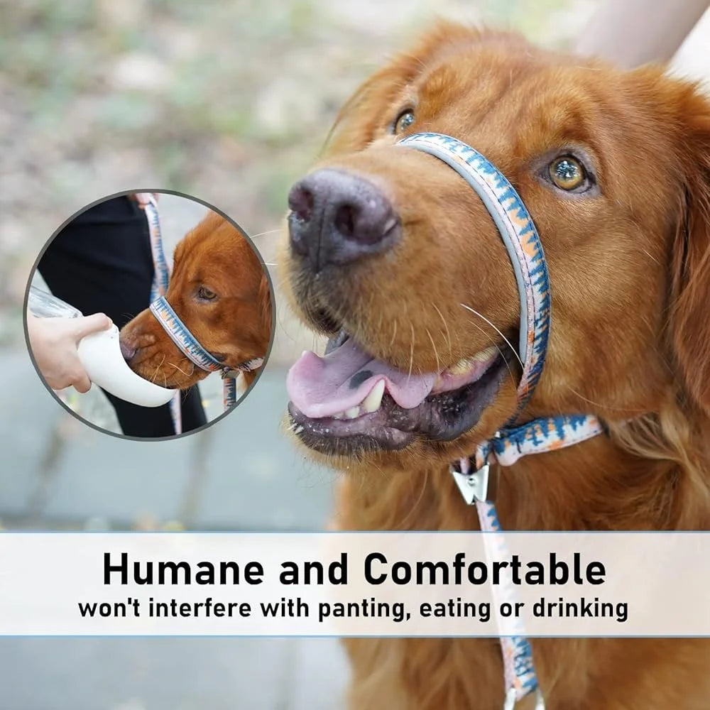 Dog Head Collar Anti-Pulling Halter with Leash