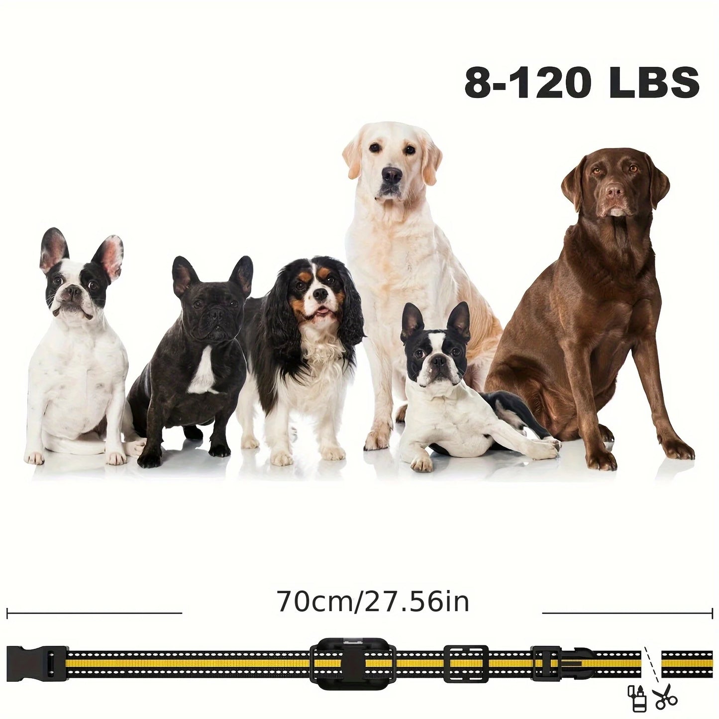 Rechargeable training collar with shock vibration
