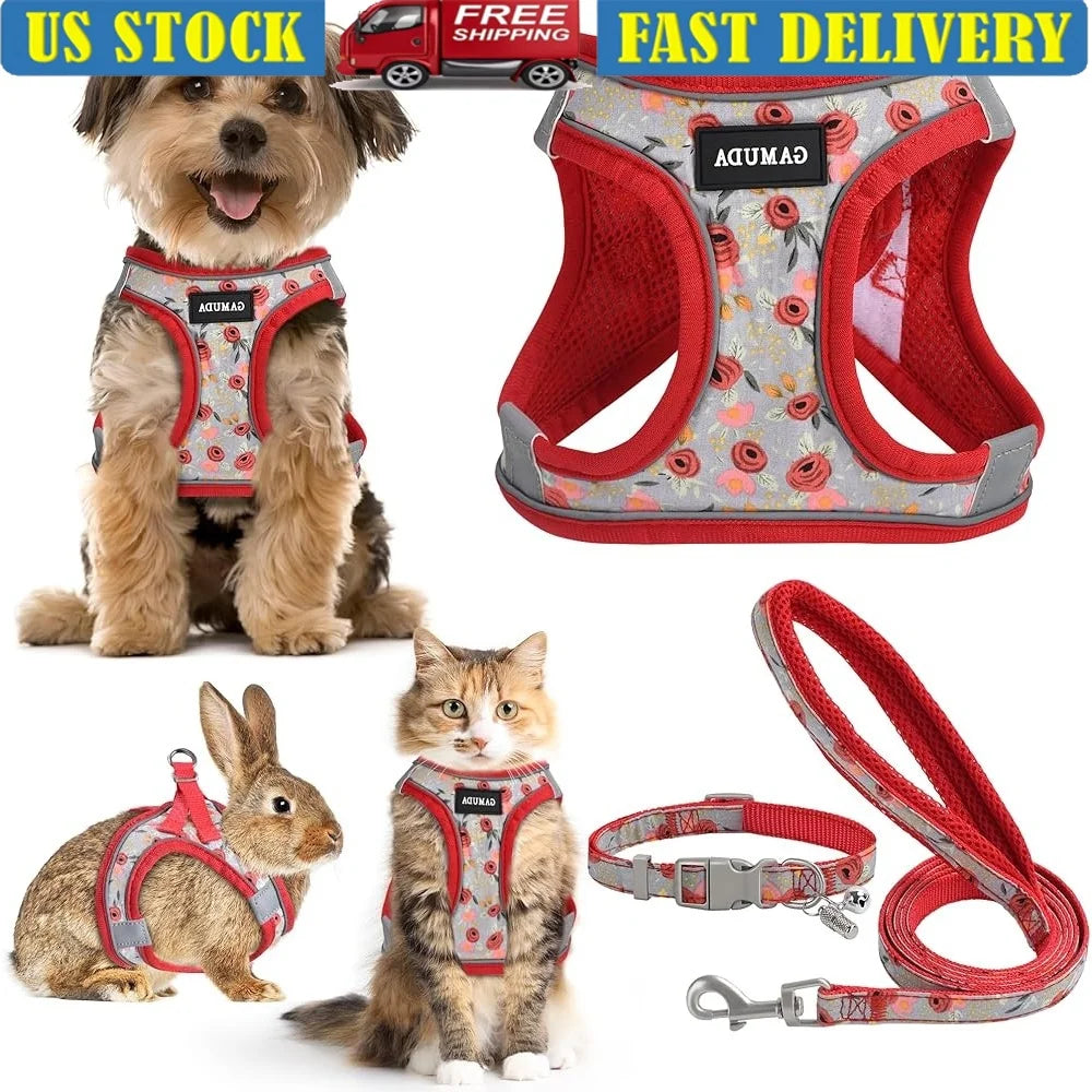 Adjustable Small Dog Harness Collar Leash Set