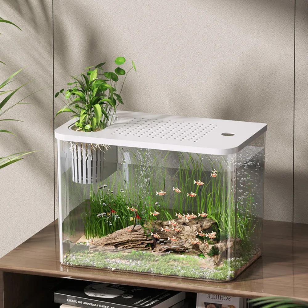 Transparent turtle/fish tank aquarium