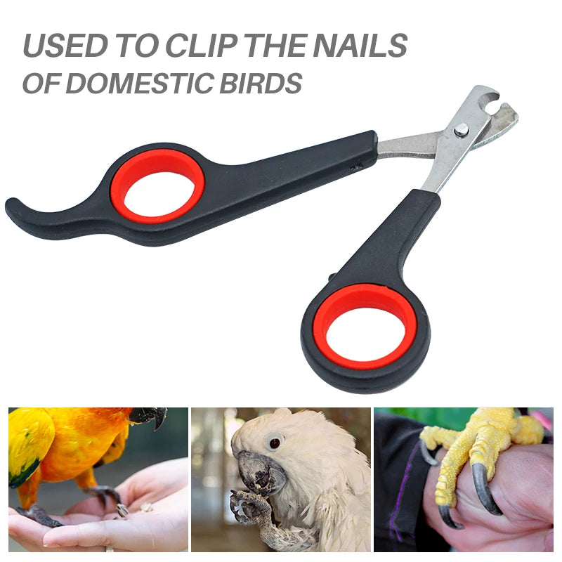 Nail Trimmer Scissors for Dogs Cats Birds Guinea Pig