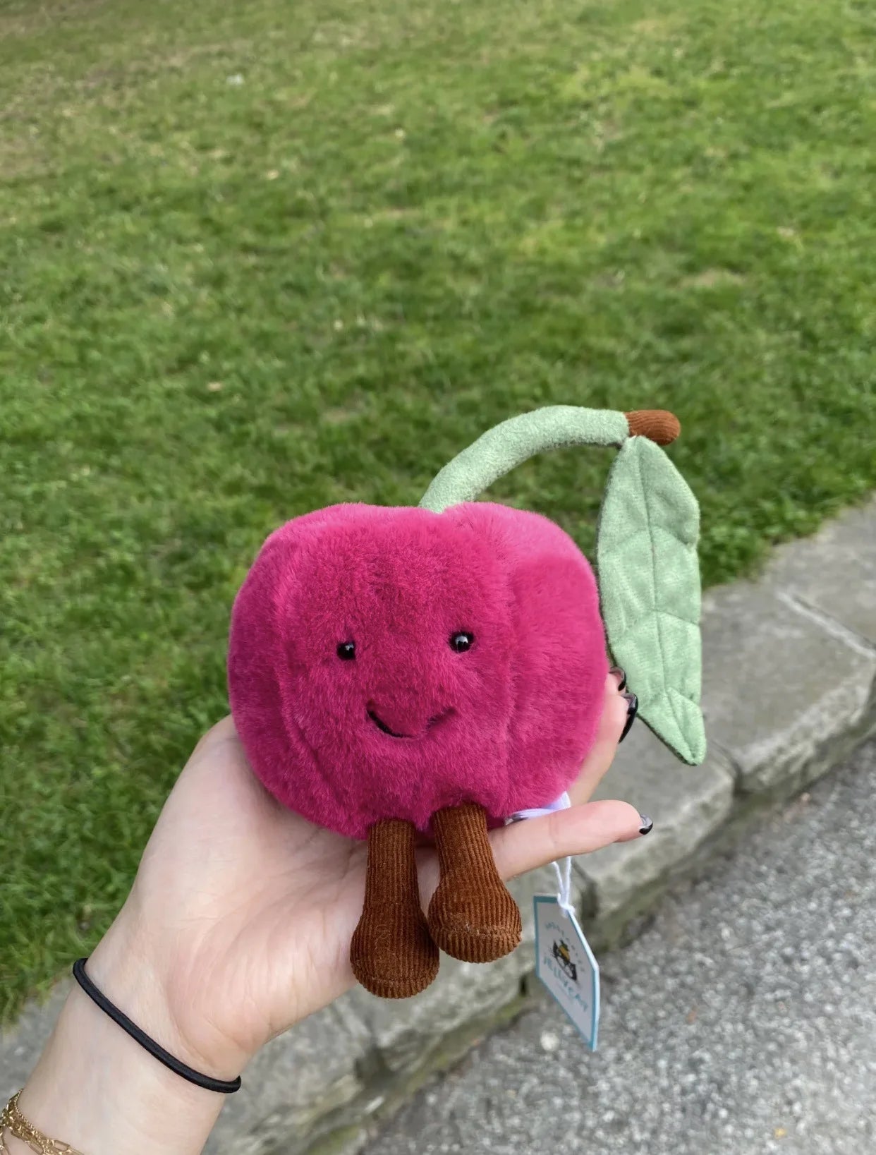 Various fruit interactive plush toy for cats