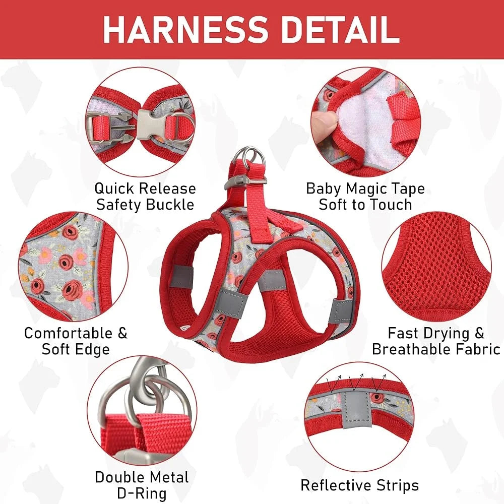 Adjustable Small Dog Harness Collar Leash Set