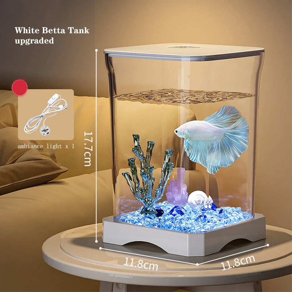 Mini desktop starter aquarium