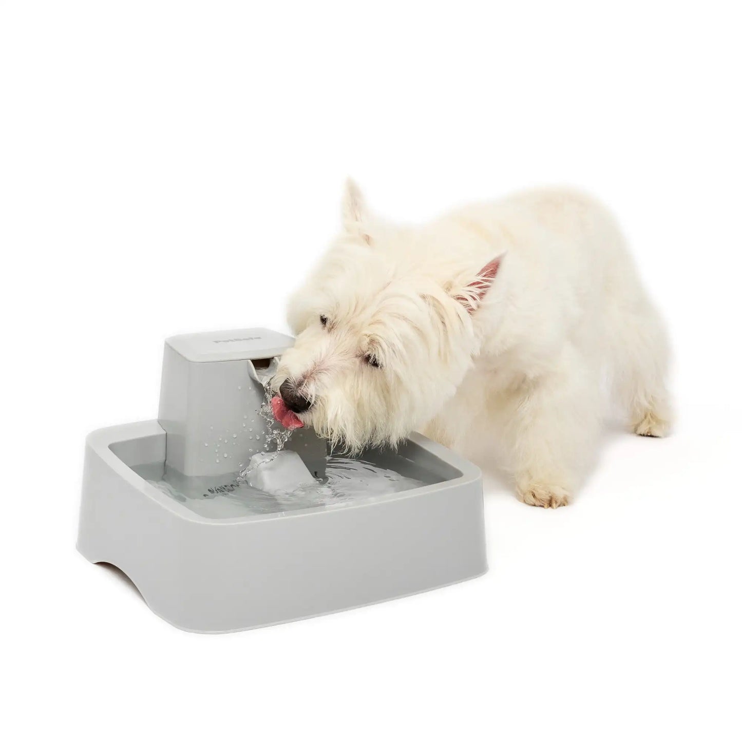Automatic fountain dog and cat water bowl