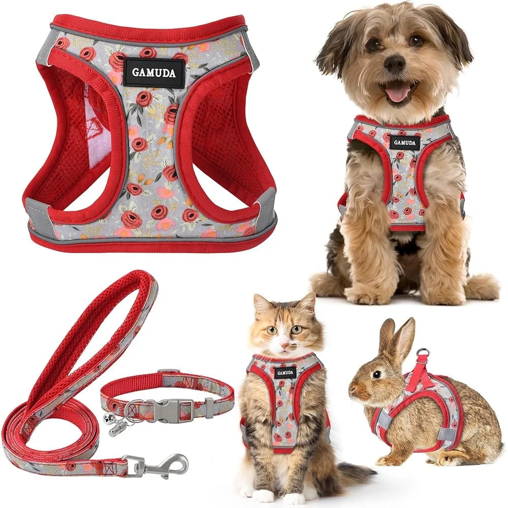 Adjustable Small Dog Harness Collar Leash Set