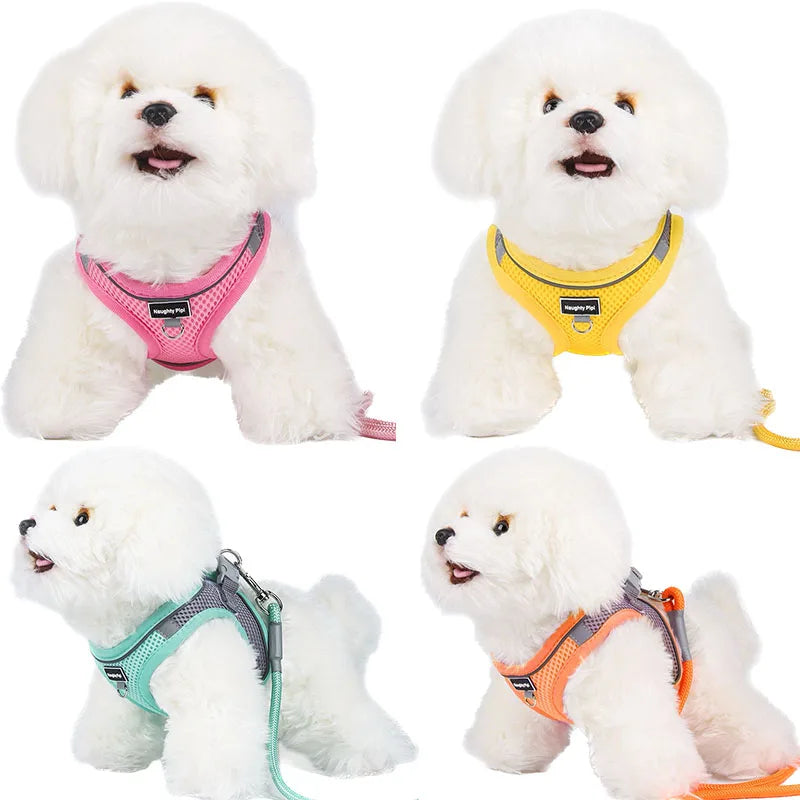 Adjustable Dog Harness for Small Dogs