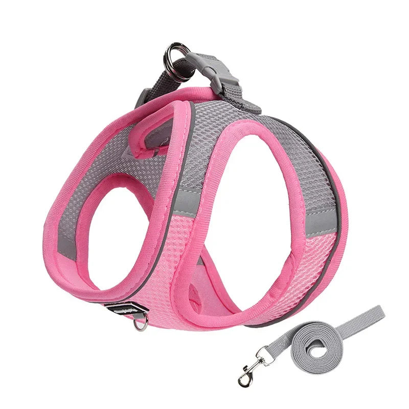 Adjustable Dog Harness for Small Dogs
