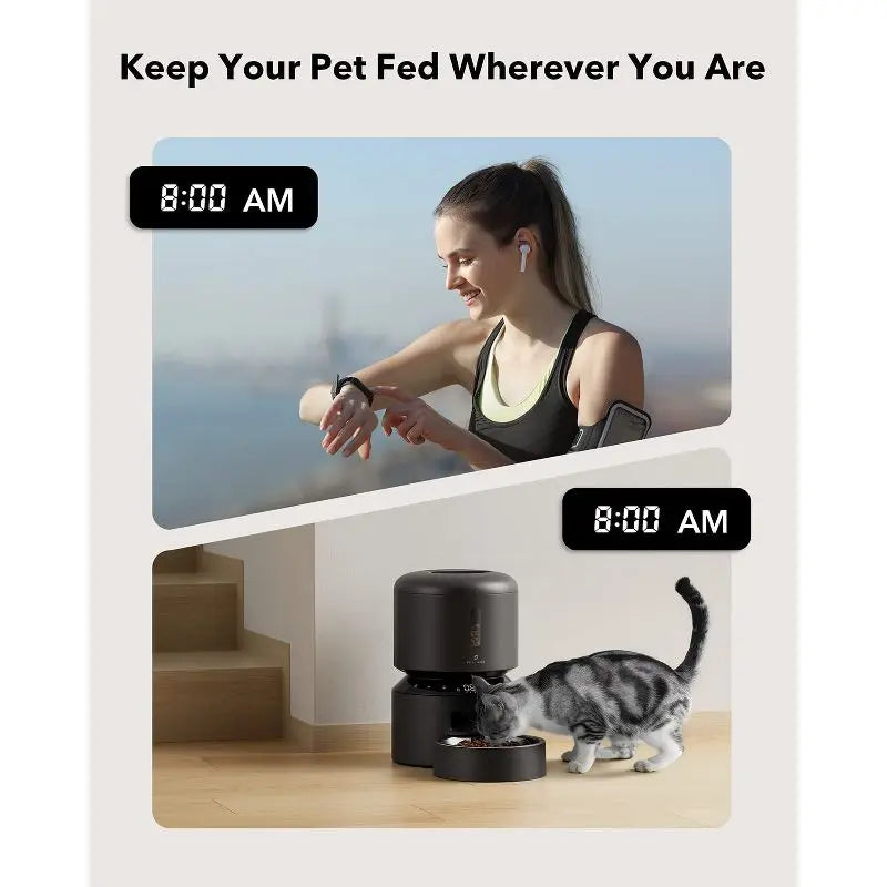 Automatic Cat Dry Food Dispenser