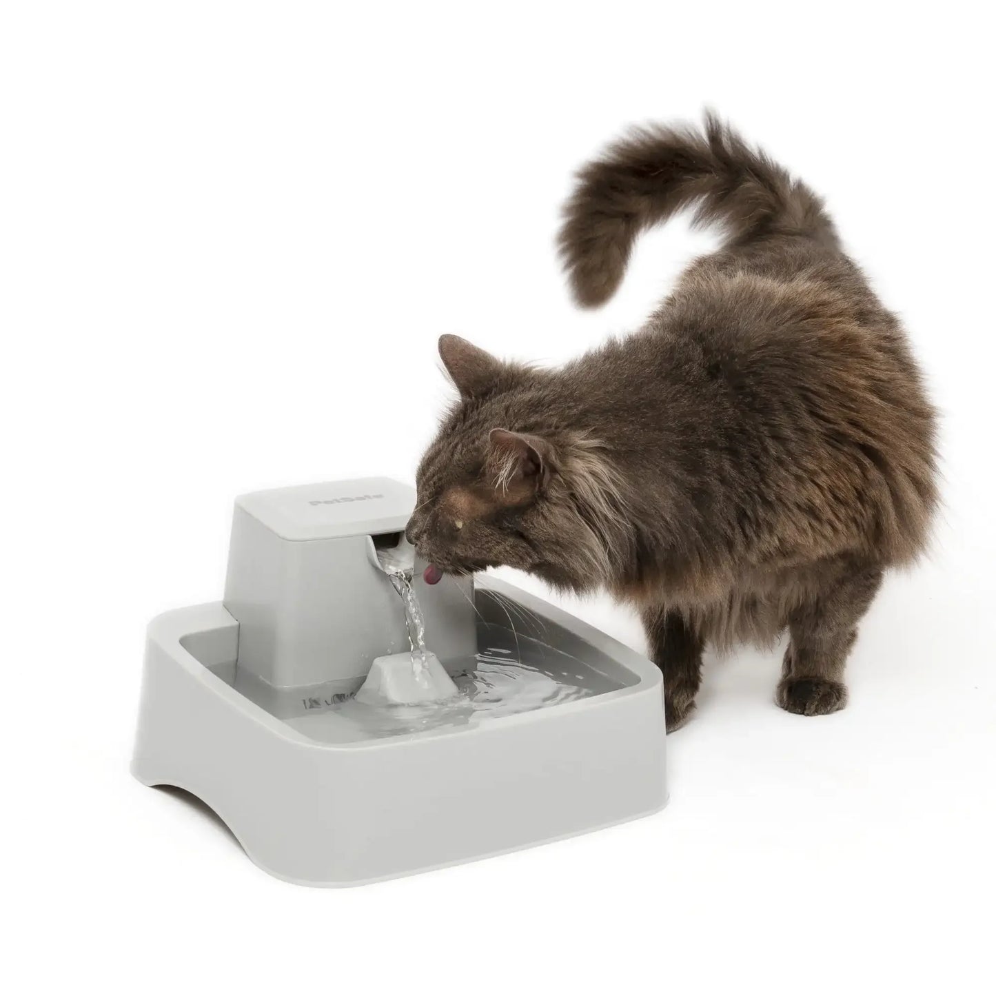 Automatic fountain dog and cat water bowl