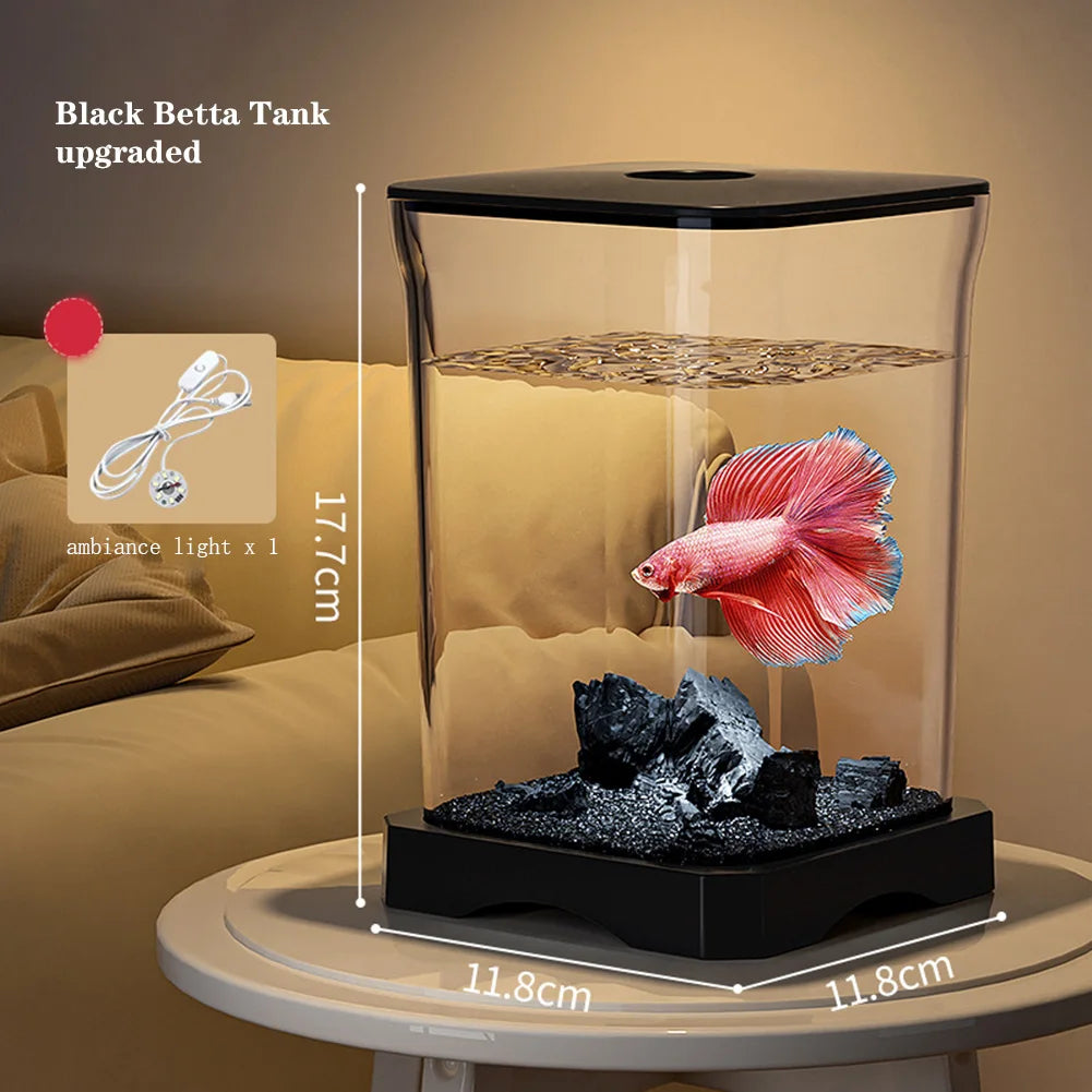 Mini desktop starter aquarium