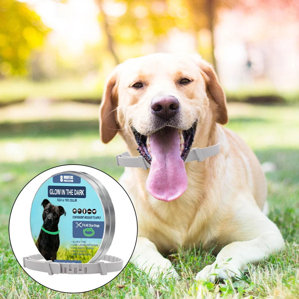 1-3Pcs Dog Pheromone Anxiety Adjustable Collar