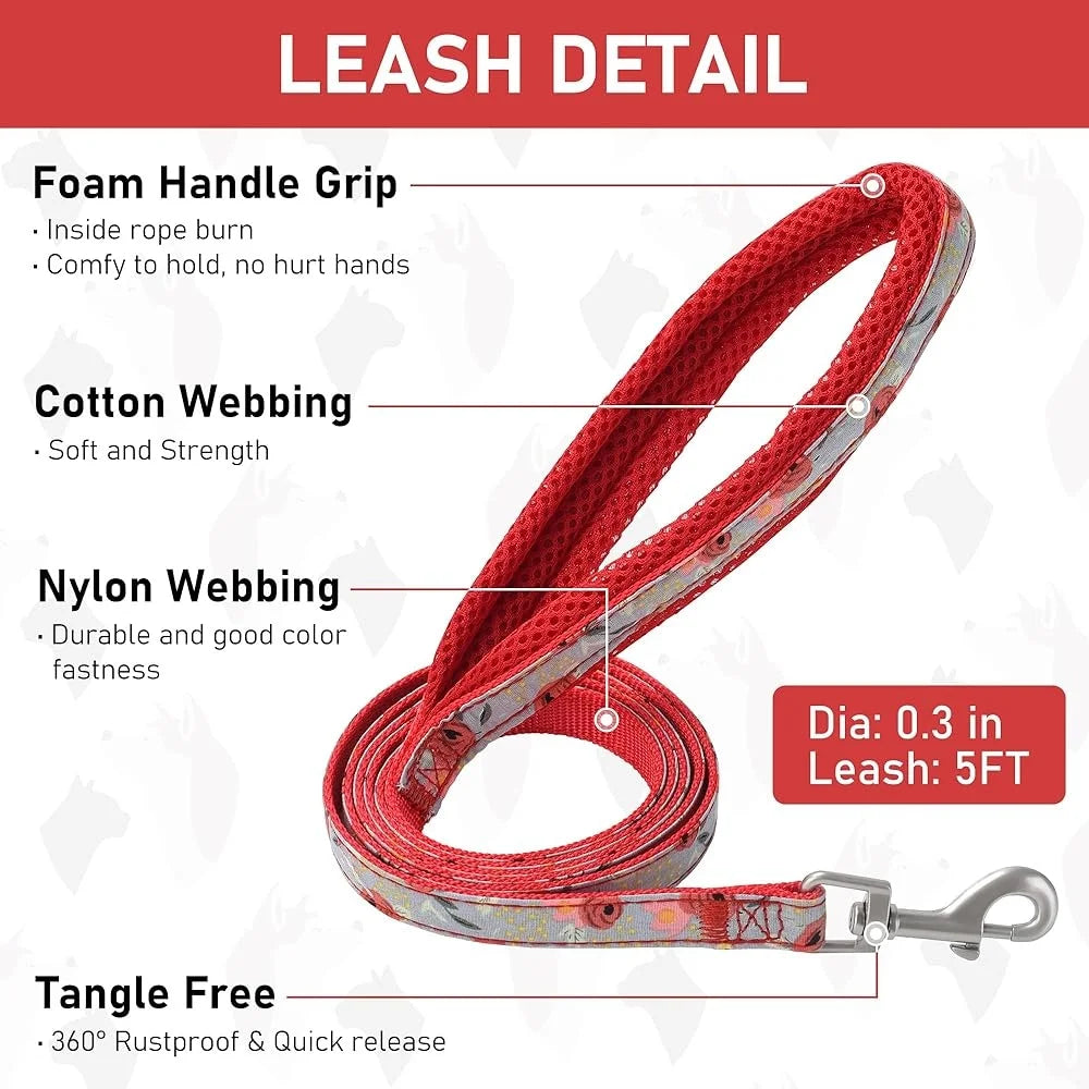 Adjustable Small Dog Harness Collar Leash Set