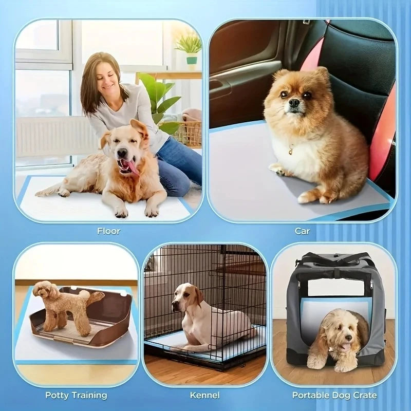 100/50/40PCS Dog Training pads