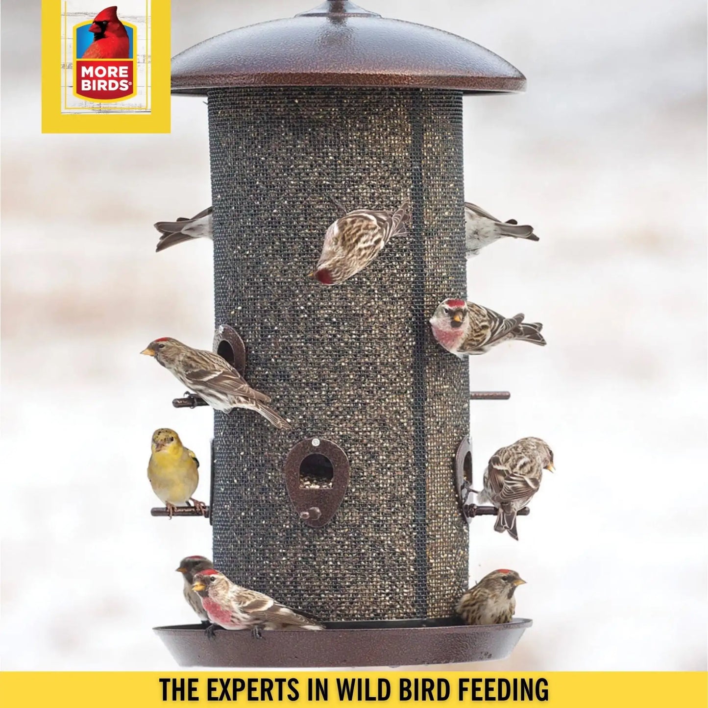 Screen Bird Feeder,10 lb Capacity, Brown