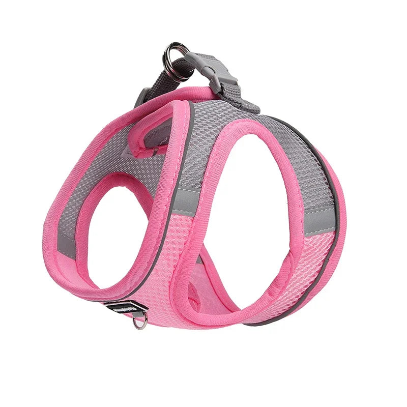 Adjustable Dog Harness for Small Dogs