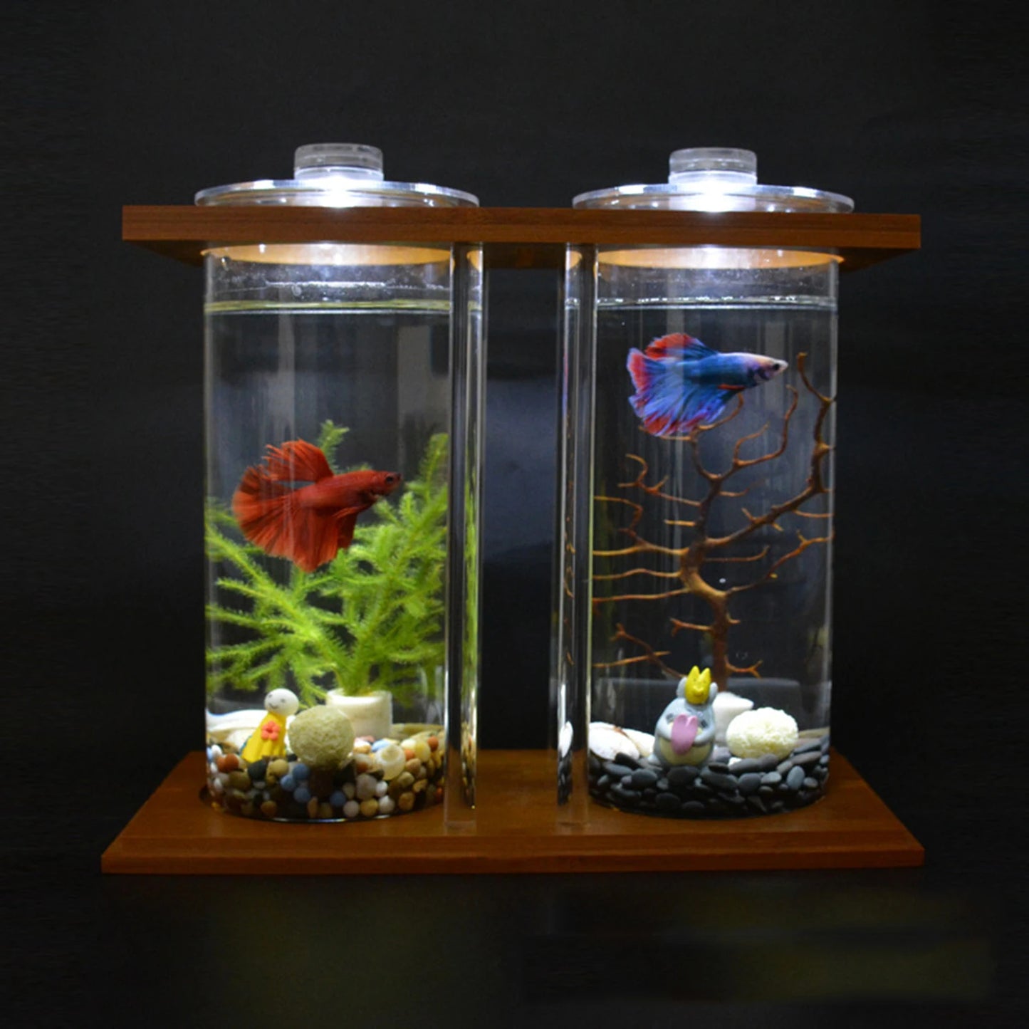 Desktop Mini Fish Tank, Dual-Cylinder Acrylic Aquarium