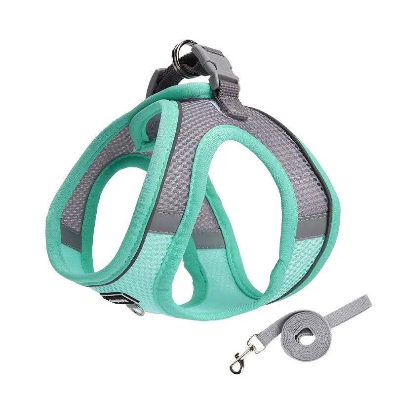 Adjustable Dog Harness for Small Dogs