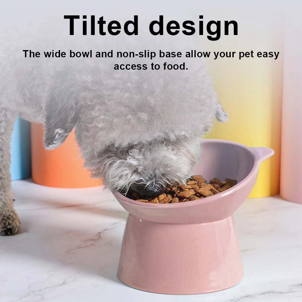 Tilted Elevated Cat And Dog Bowl
