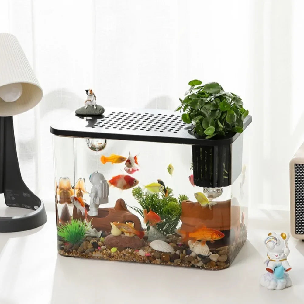 Transparent turtle/fish tank aquarium