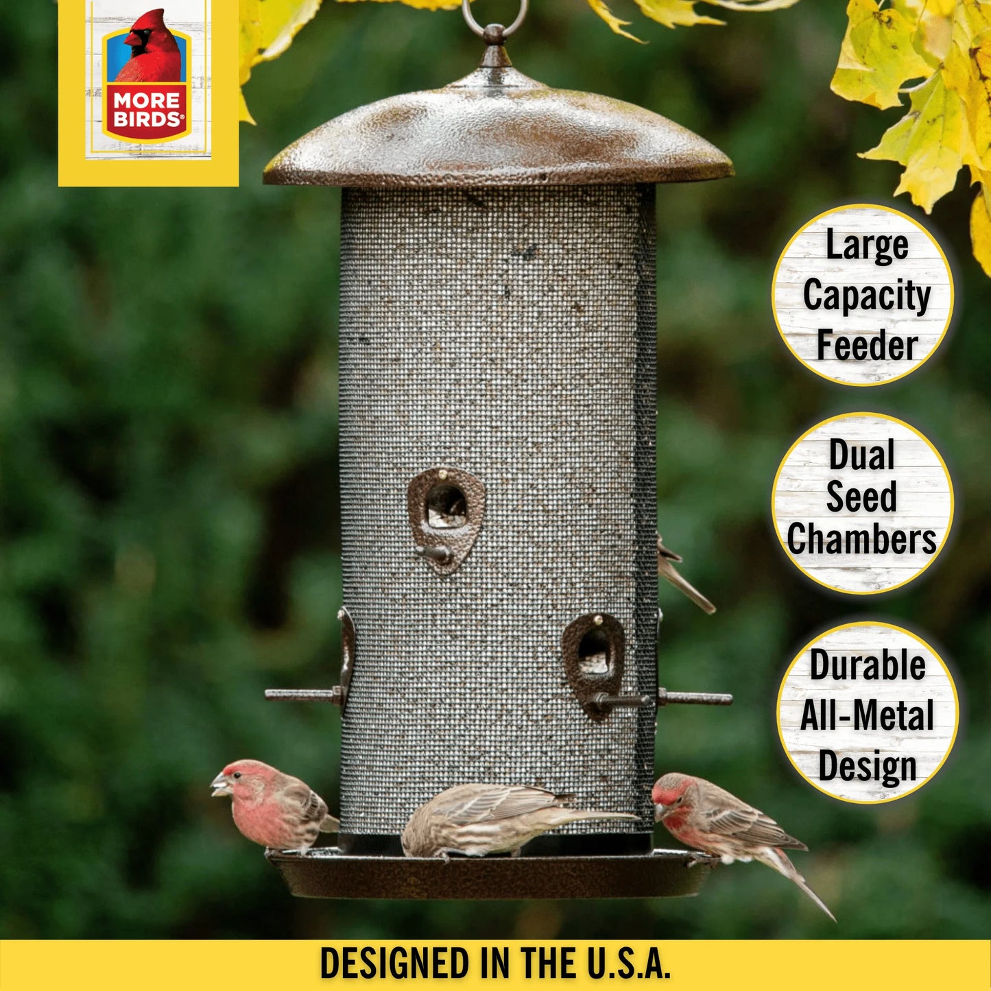 Screen Bird Feeder,10 lb Capacity, Brown