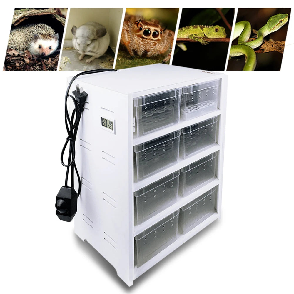 8PCS Clear Breeding Boxes for reptiles&spiders