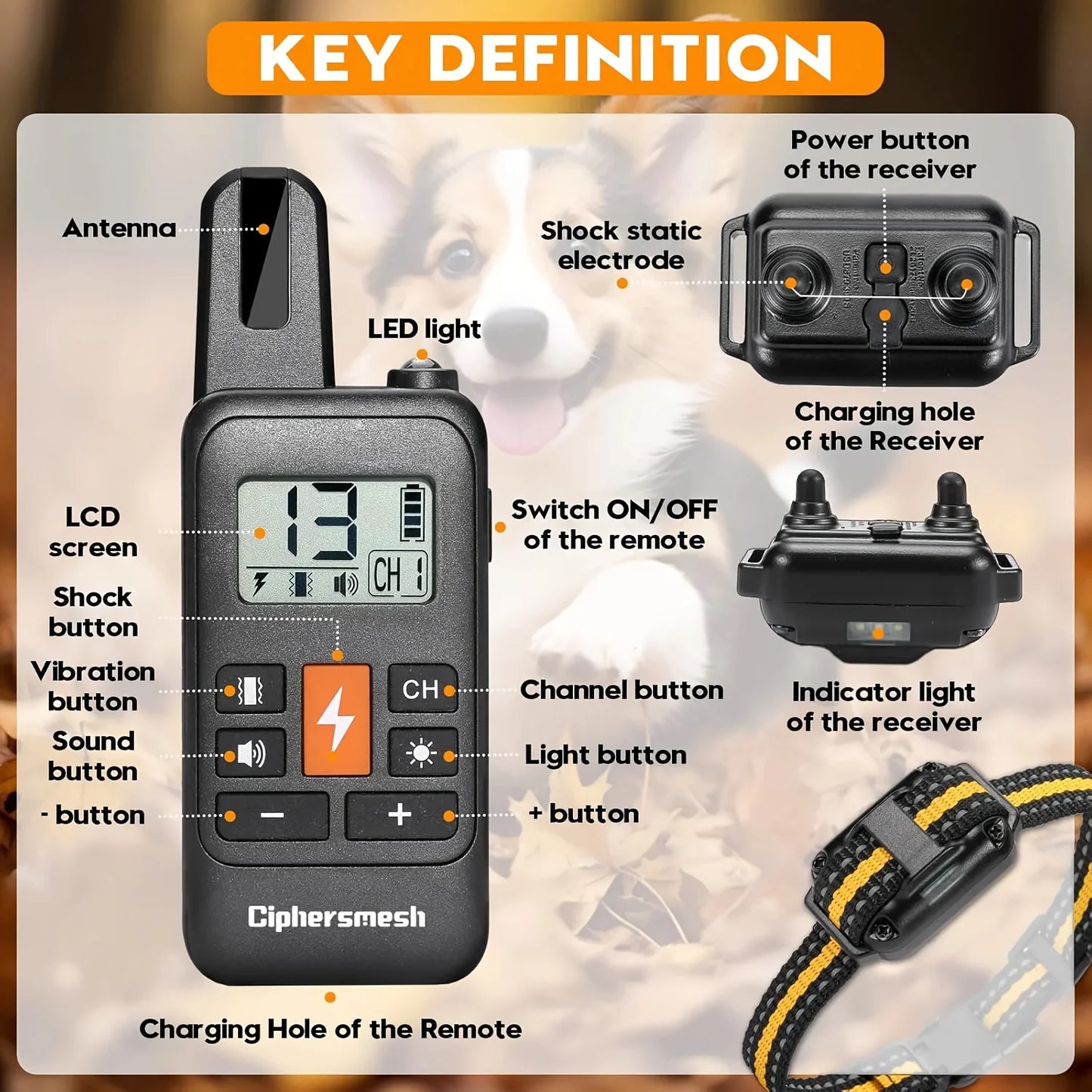 Rechargeable training collar with shock vibration