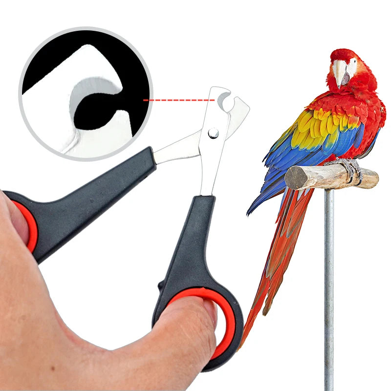 Nail Trimmer Scissors for Dogs Cats Birds Guinea Pig