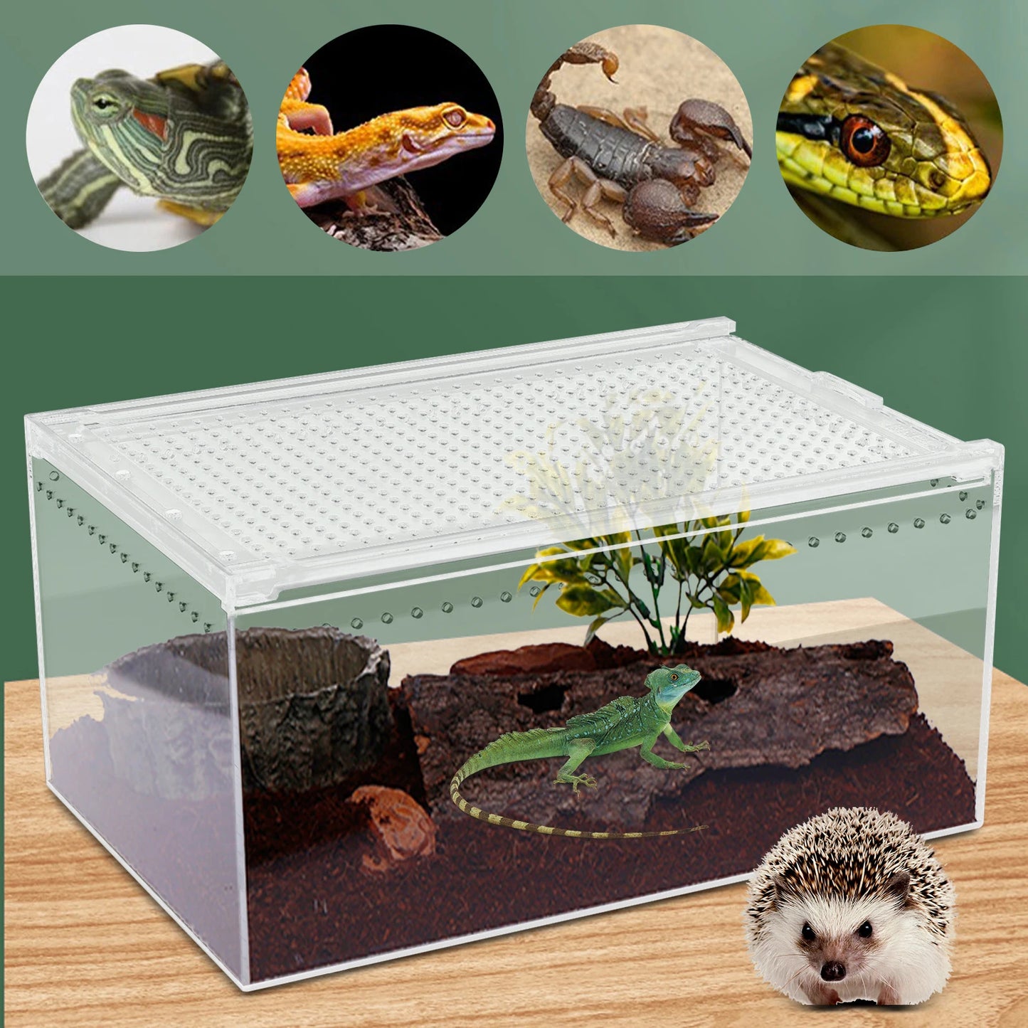 Acrylic Reptile Pet Breeding Cage