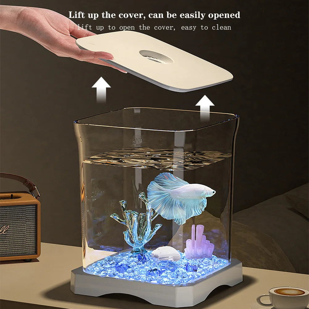 Mini desktop starter aquarium