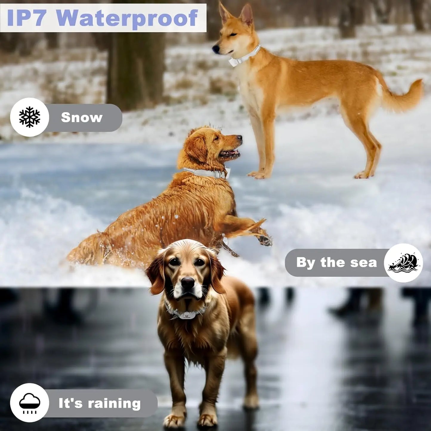 2 Pack 3-in-1 GPS Dog Tracker/Training Collar/Electronic Fence