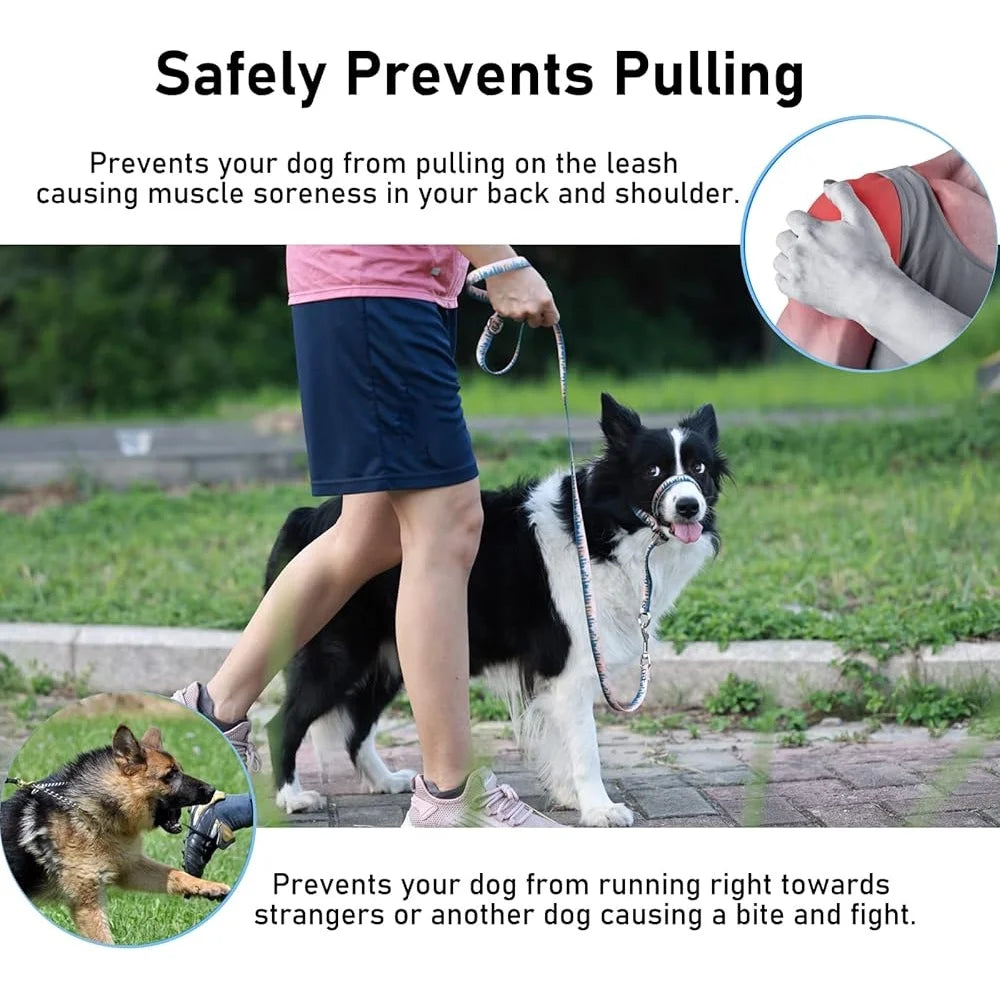 Dog Head Collar Anti-Pulling Halter with Leash