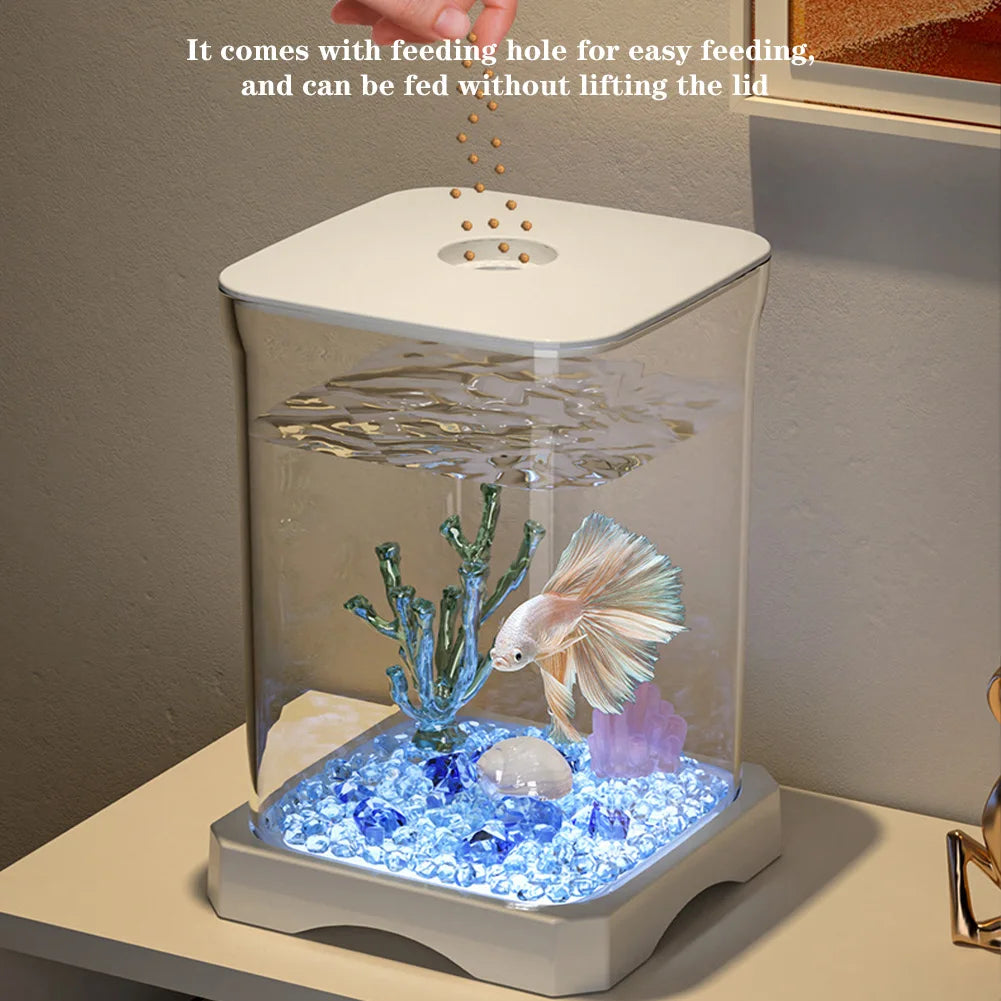 Mini desktop starter aquarium
