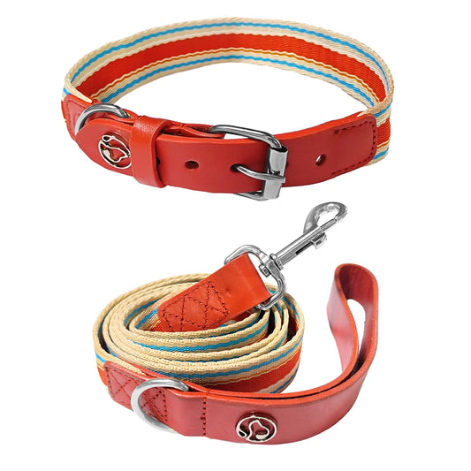 Adjustable Dog Collar and Leash Set / all sizes