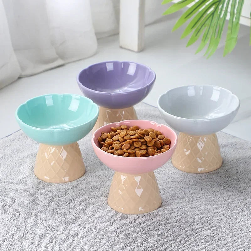Raised and Tilted Pet Food and Water Bowl