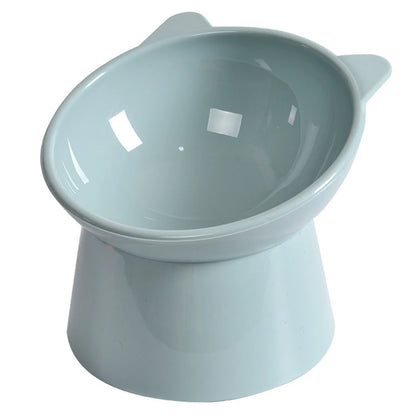 Tilted Elevated Cat And Dog Bowl
