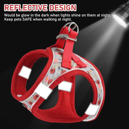 Adjustable Small Dog Harness Collar Leash Set