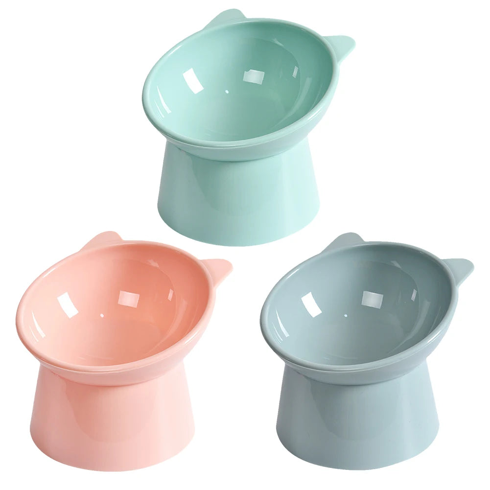 Tilted Elevated Cat And Dog Bowl
