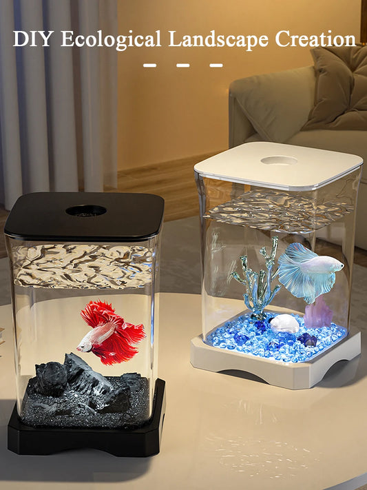 Mini desktop starter aquarium